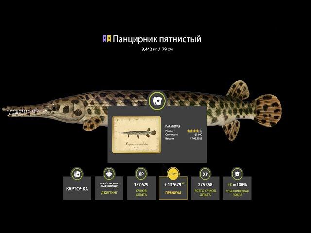 ЗА ТРОФЕЙНЫМ УСАЧОМ на АХТУБУ, ЗА ЛОСЁМ на АРХИП и ЯМА ПРИБЫЛЬ ДЕНЬГИ СТРИМ РУССКАЯ РЫБАЛКА 4 РР4