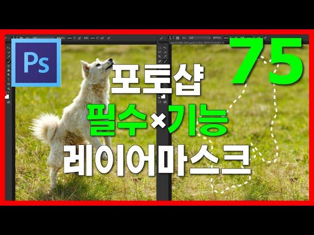 [포토샵] 필수 기능 레이어마스크 사용방법과 원리 3분43초 강의영상