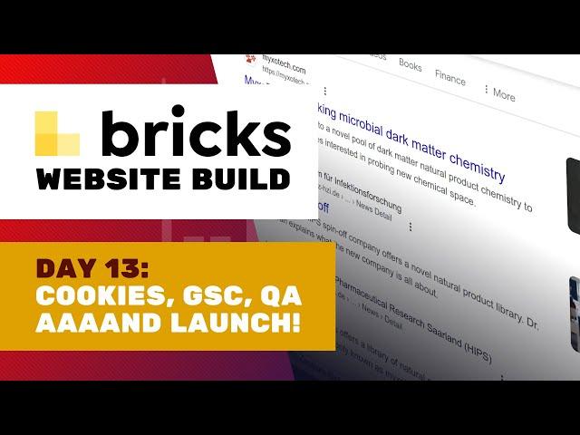 Day 13: Let's launch!! Cookies, GSC submission, QA | Bricks website build: MyxoTech