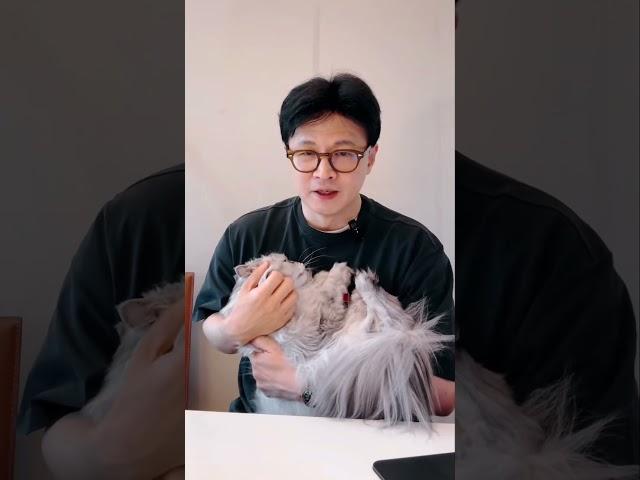 뚱땡이는  보셨으니까요ㅋㅋㅋㅋ  #탄아 #양이 #후니 #한동훈라방