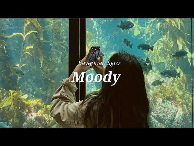 [Vietsub+Lyrics] Savannah Sgro - Moody