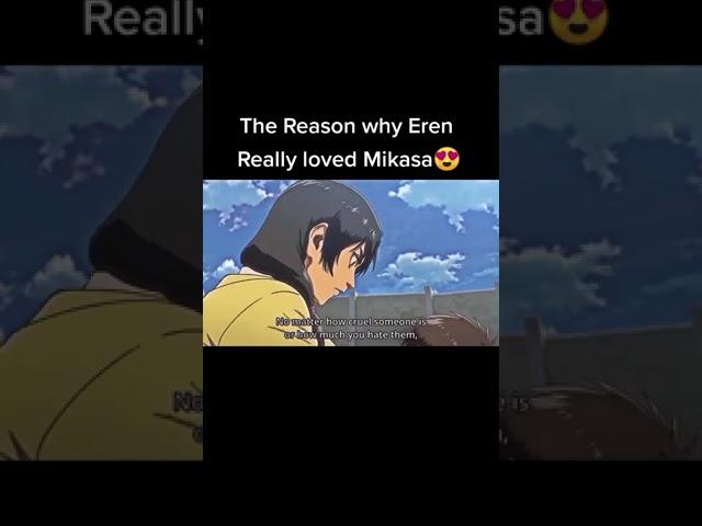 The reason why Eren Loved Mikasa