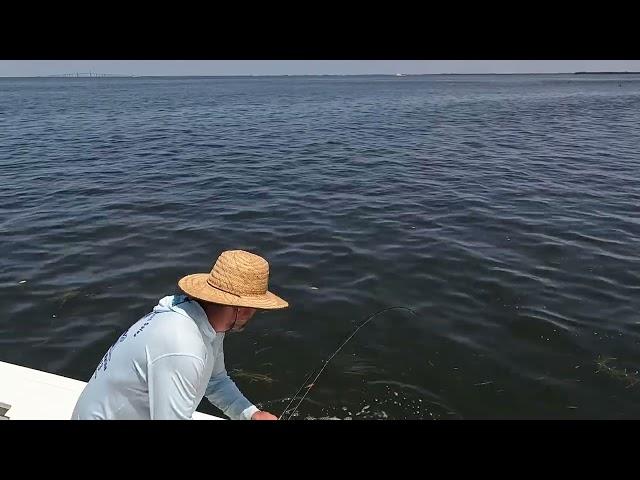 Good Times Fishing Adventures with Captain Wayne Johnson