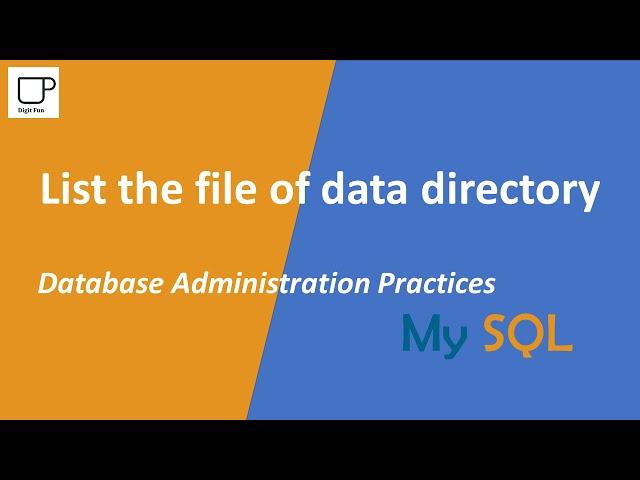 List the file of data directory - MySQL Database Administration Practices