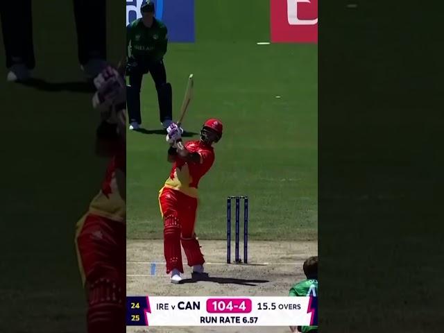Kirton goes down the ground.. Kirton goes out of the ground!! #cricketcanada #cricket #t20worldcup
