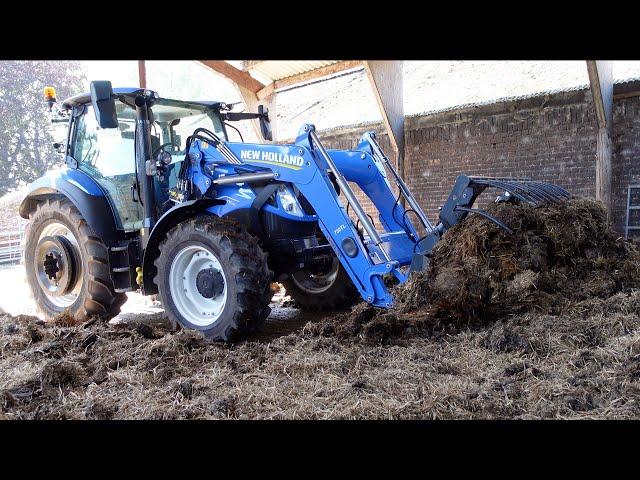 MUCKING OUT THE COW SHEDS WITH A BRILLIANT BLUE YARD TRACTOR !