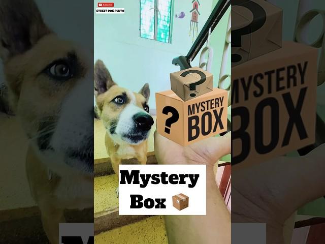 Kya Nikla Mystery Box Se ?  | #492