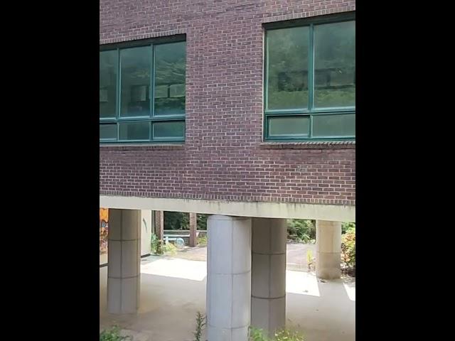 폐교 전 아름다운 캠퍼스를 갖췄던 한중대학교, 폐교 후 5년 뒤 현재모습 #한중대학교 #폐교