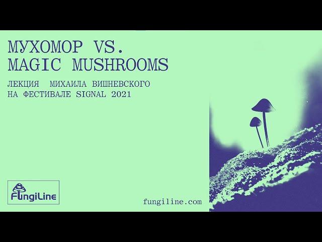 Fly agaric vs psi Mikhail Vishnevskiy at Signal 2021 ENG subtitles
