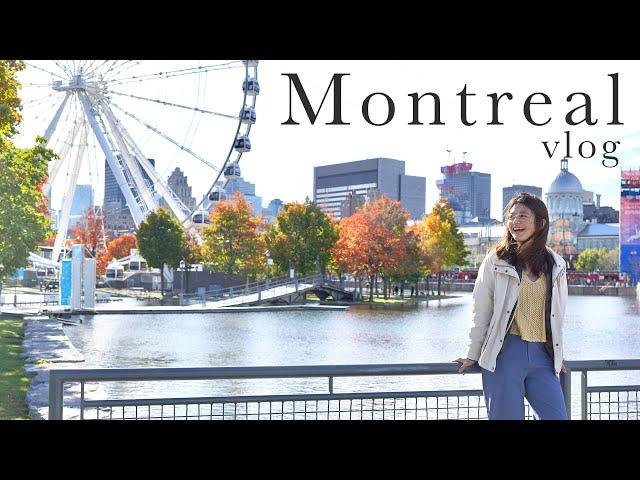 Montreal Vlog | 終於來到蒙特婁旅遊了!迷人的舊城區 Old Town 、摩天輪和楓葉的景色實在太美了! #加東旅遊系列