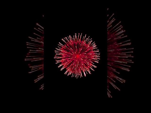 Fire Crackers | 8 Firework Display Shell | Diwali Rockets