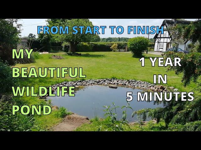 My Beautiful WILDLIFE POND Build a YEAR in FIVE minutes