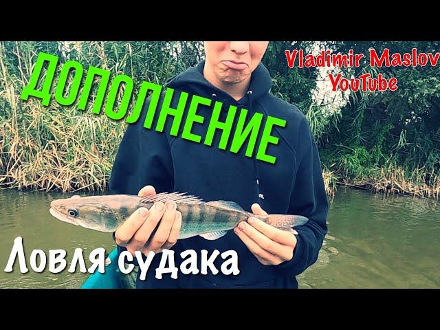 НЕУДАЧНЫЕ КАДРЫ | Судак в Астрахани! Vladimir Maslov YouTube