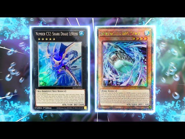 SUPER UNDERRATED - The BEST! NEW YU-GI-OH SHARK Deck Profile + Combos 2024! (How To Play)