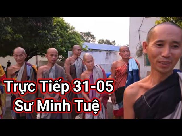Trực Tiếp 31-05 Sư Minh Tuệ Khất thực mới Nhất