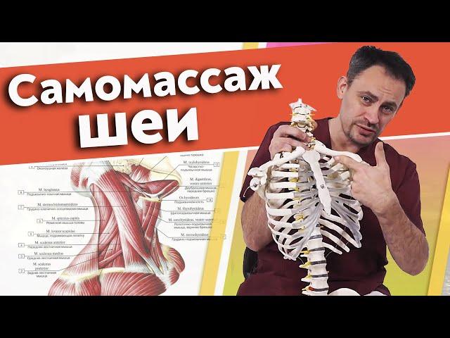 Как правильно делать самомассаж шеи? | Массаж шейного отдела самостоятельно