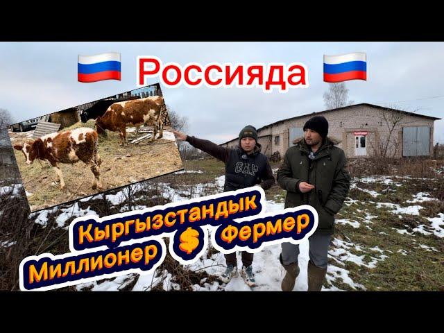 Россияда Кыргызстандык Миллионер Фермер