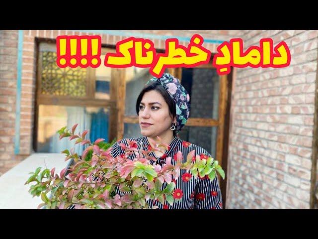 داستان داماد خطرناک !!! ، واقعی و ارسالی از طرف شما ، تک قسمتی ، پادکست و ولاگ فارسی