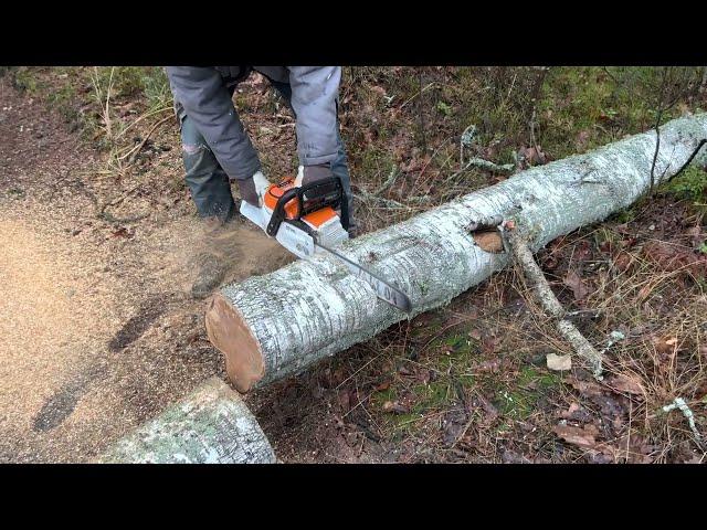 Stihl MSA 300 , fast but not furious