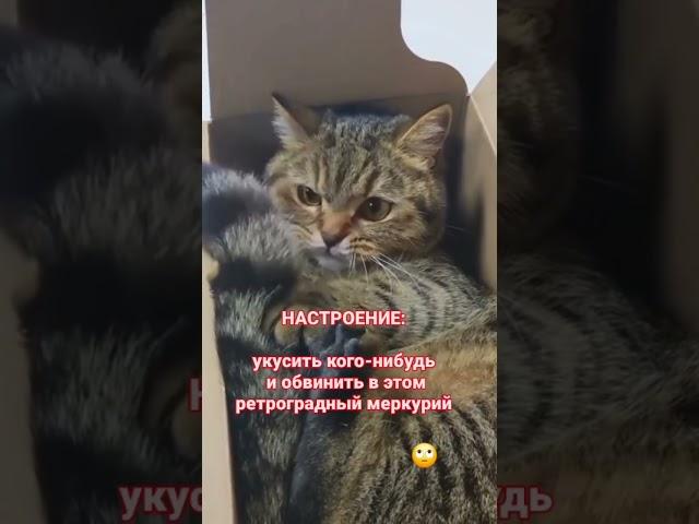 Мое настроение на сегодня