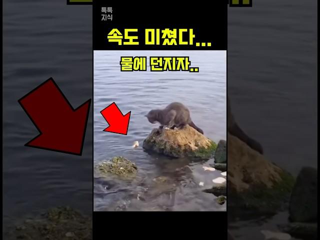 ‘이걸’ 물에 던졌더니…