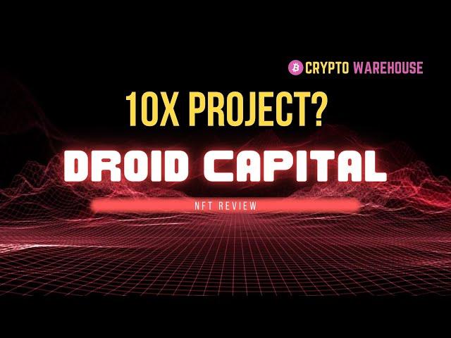 Droid Capital - 10X Hidden Gem? #crypto