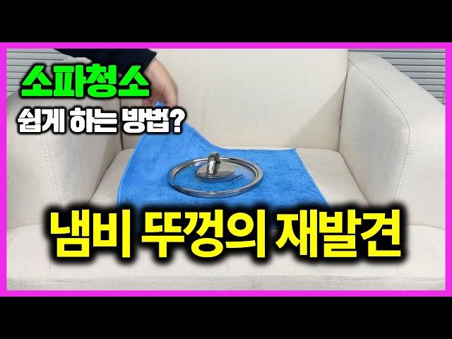 소파 셀프 청소방법 오염, 얼룩제거 꿀팁 | 가죽 소파 | 패브릭 소파