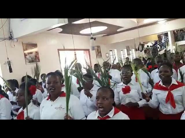 PALM SUNDAY ST. BAKHITA CHURCH MUKURU.