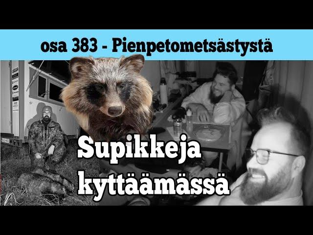 Osa 383 - Supikoiraa kyttäämässä lämpötähtäimillä - 2024/2025