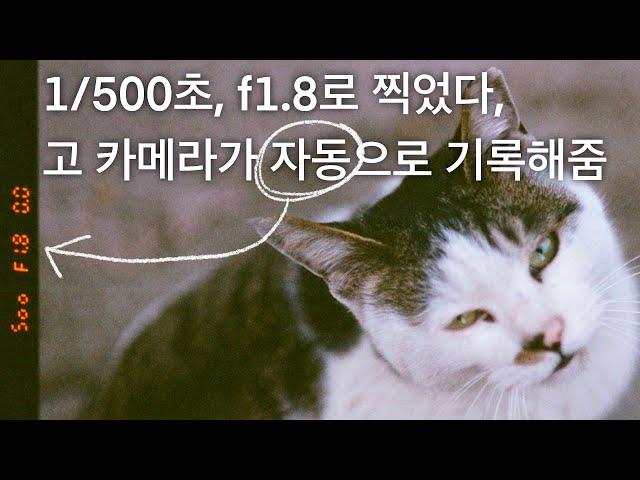 촬영정보 예쁘게 새겨주세요 니콘 필름카메라 F80s