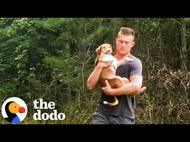 Abandoned Puppy Jumps Into Rescuers Arms | The Dodo