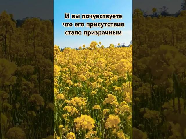 Как узнать что он разлюбил вас? #любовь #цитаты #мудрыеслова #цитатыосмысле #люди #мудрость