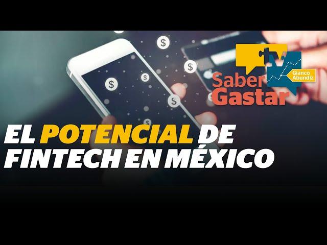 ¿Cómo las Fintech están transformando el acceso a las finanzas personales? | Reporte Indigo