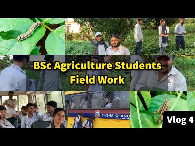 BSc Agri Students Field Work | Life of Agriculture Students | Vlog 4