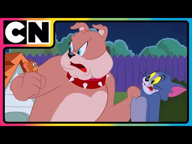 Tom and Jerry  | The Reign Of Thomas Begins! | #catandmouse | #compilation | @cnindia