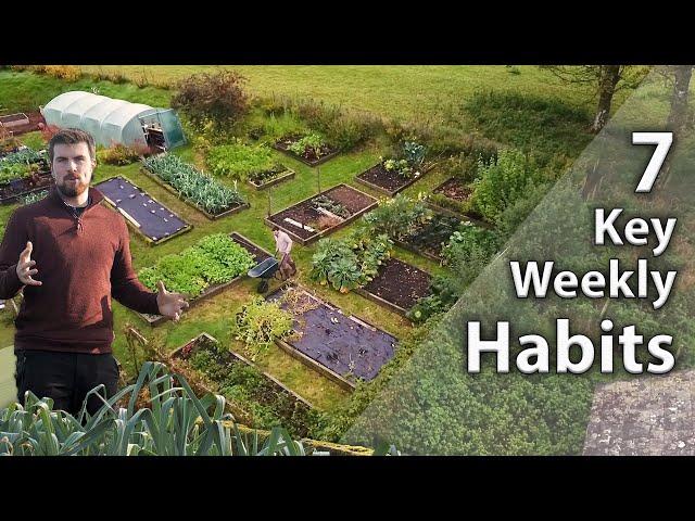 7 Weekly Habits Every Gardener Needs | Improve Productivity and Efficiency