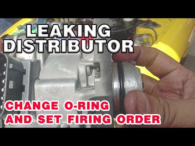 Oil leak on distributor and set firing order