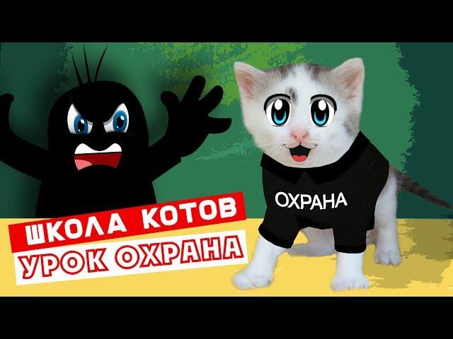 ШКОЛА КОТОВ : НОВЫЙ УРОК! КОШЕЧКА МУРКА и КОТ МАЛЫШ 1 ДЕНЬ В ШКОЛЕ! УЧИТЕЛЬНИЦА РЫЖУЛЯ УЧИТ КОТЯТ