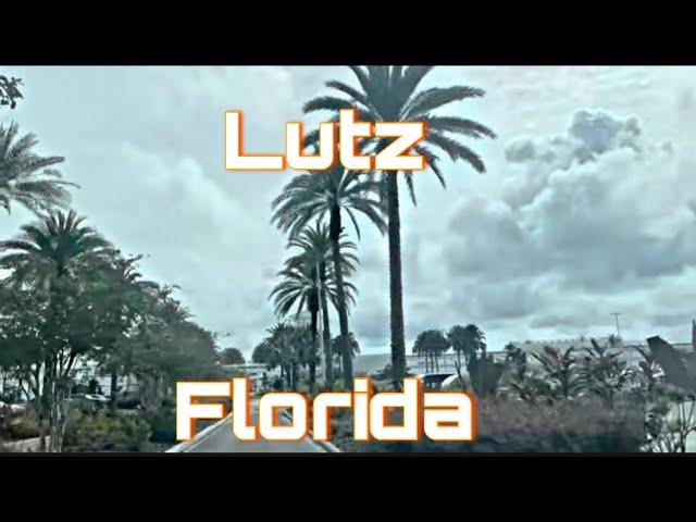 Lutz, Florida - City Tour & Drive Thru