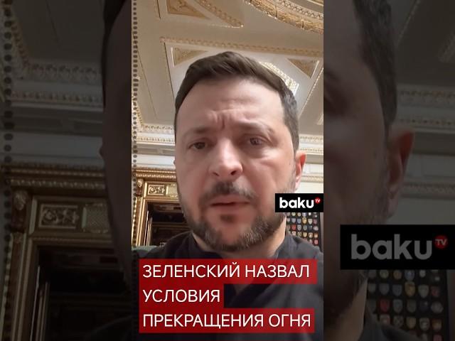 Владимир Зеленский заявил, что Киев готов прекратить огонь на 30 дней, но только в одном случае