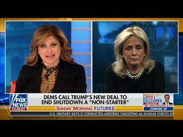 Maria Bartiromo vs Michigan Representative Debbie Dingell