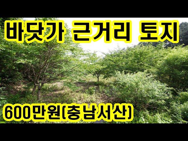 바닷가 근거리 충남서산 185평 토지 매매 600만원~ 싼땅 자연인 조용한곳 서산토지매매 매물