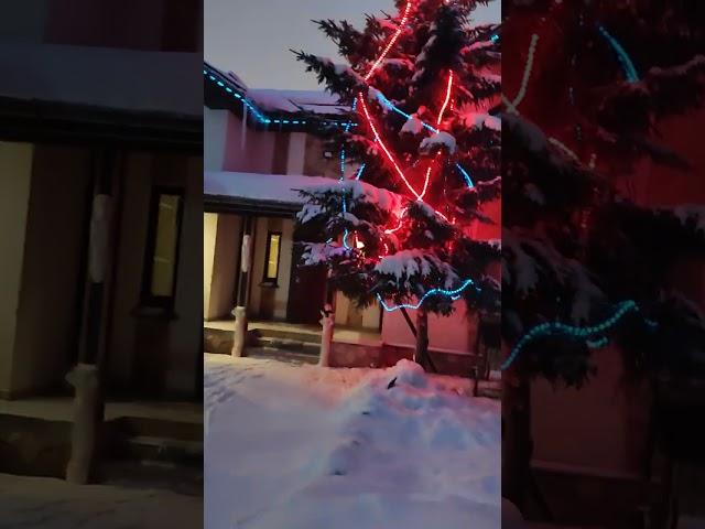 Коттедж Белые ночи в аренду.