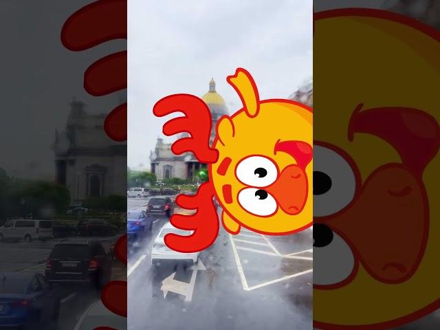 ПРИКЛЮЧЕНИЕ УРАЛЬЦЕВ В ПИТЕРЕ#shorts