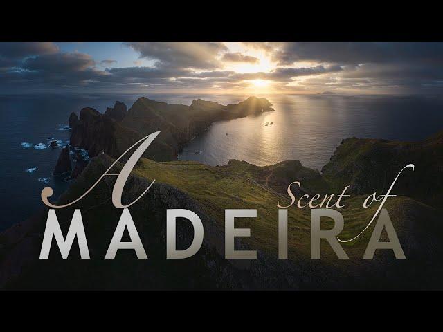 a Scent of Madeira - Portugal - Short Travel Film (4K)