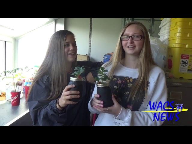 Environmental Science: Hydroponics