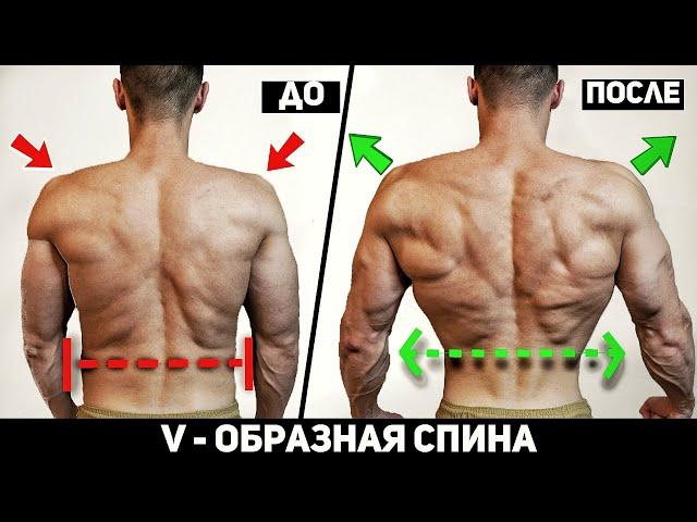 Wide Back 5 Best Exercises