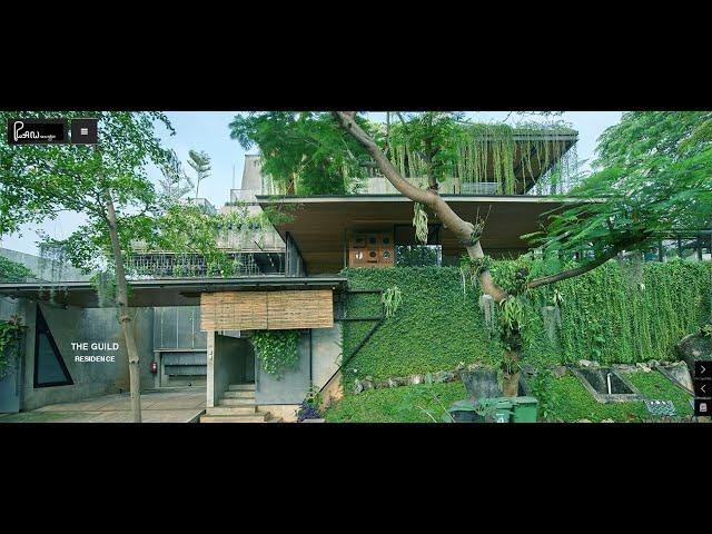 Guha - The Guild + Guha bamboo