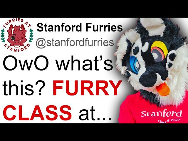 There's a FURRY COLLEGE COURSE now...