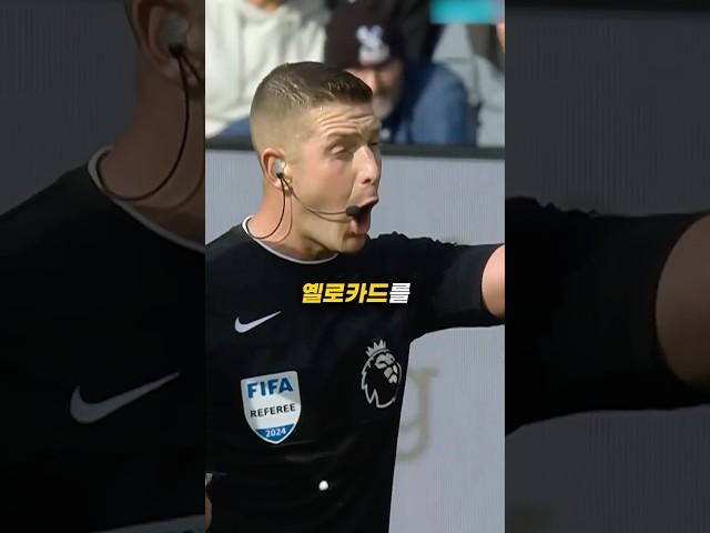억까 당한 브라질 최고의 축구지능 